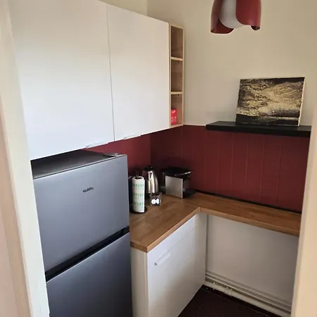 Fully-equipped Large With Terrace Rueil-Malmaison